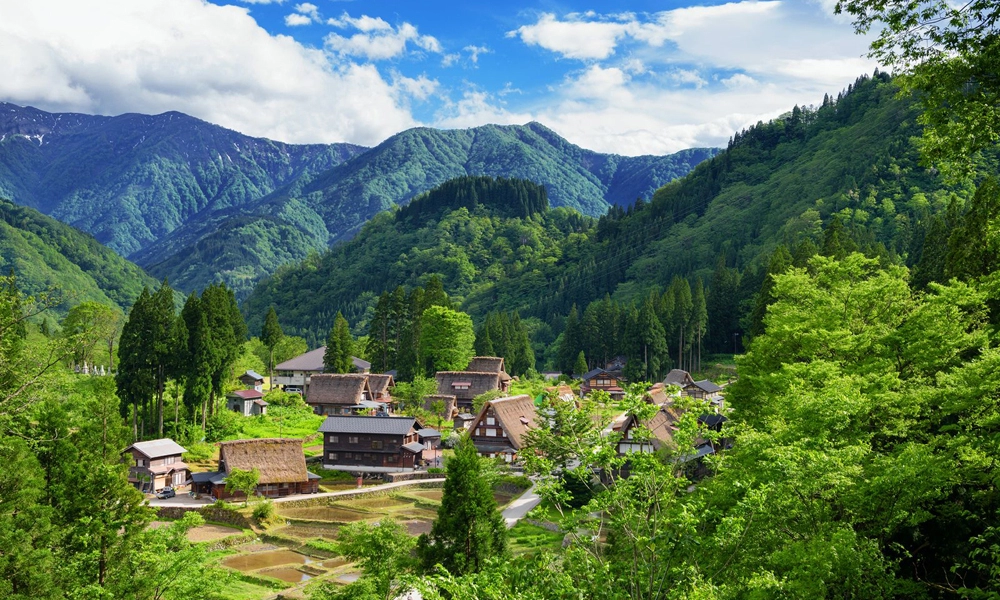 Diaporama Le Japon en Version Grand Luxe Printemps